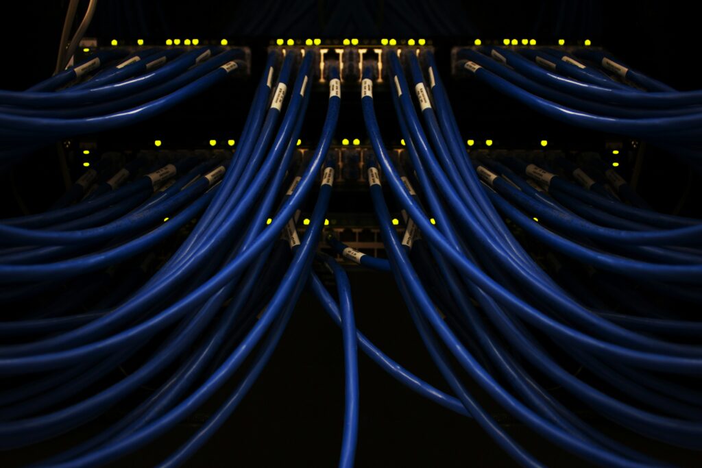 Blue wire cables. Photo by Scott Rodgerson
