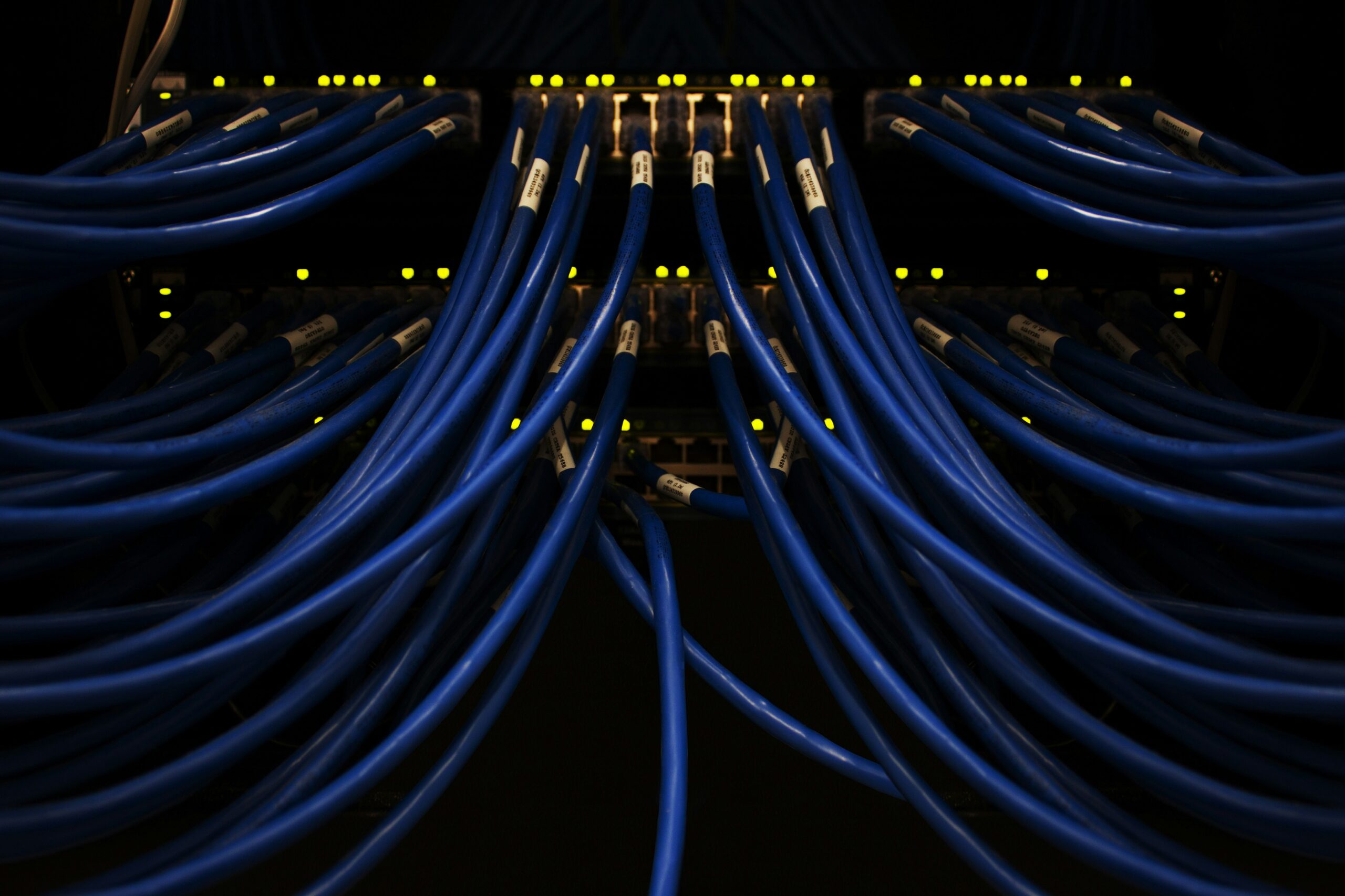 Blue wire cables. Photo by Scott Rodgerson